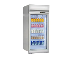 Single door large capacity vertical display refrigerator