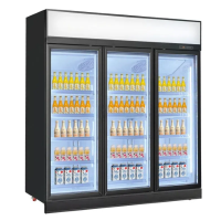 Double door large capacity vertical display refrigerator